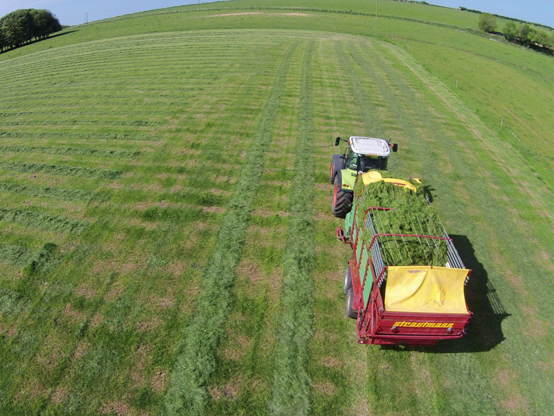 Flexibility of Strautmann forage wagon an asset for open air dairy